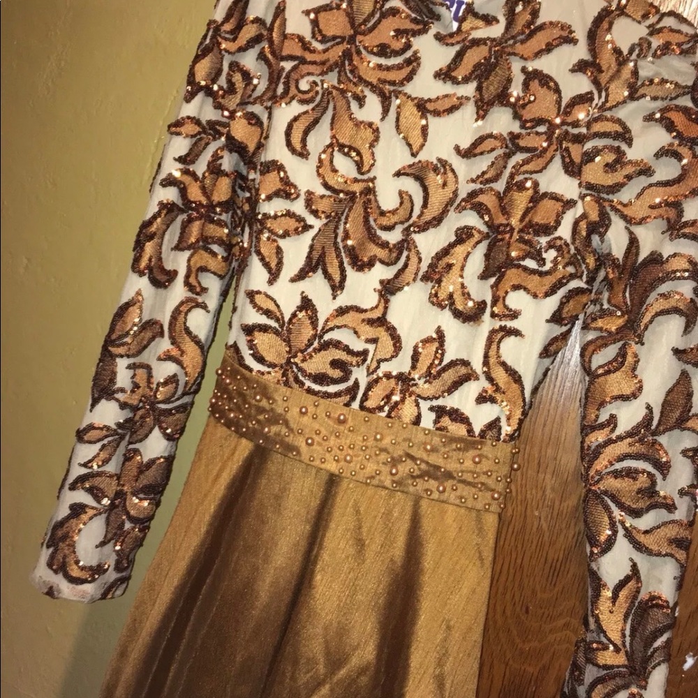 Elegant long sleeved gown dress puffy fancy